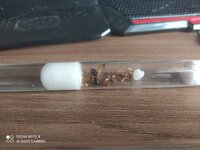 IMG_20201114_115541.jpg