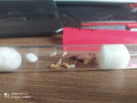 IMG_20201114_115725.jpg