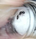 IMG_20201113_001819.jpg