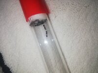 IMG_20201114_154925.jpg