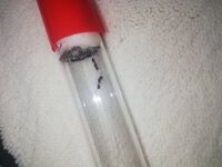 IMG_20201114_154929.jpg