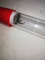 IMG_20201114_225934.jpg