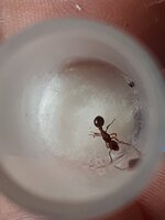 20201115_131916.jpg