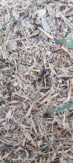 20201118_150627.jpg