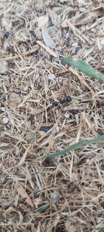 20201118_150630.jpg