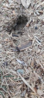 20201118_150541.jpg