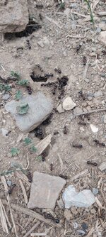 20201118_164433.jpg