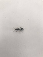 D15AC761-D7D3-45AD-85BE-B2285C569658.jpeg