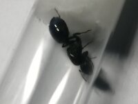 IMG_20201120_204043.jpg