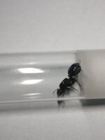 IMG_20201120_203849.jpg