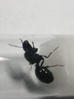 IMG_20201120_204134.jpg