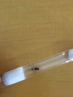 5B0C9505-10FE-4757-A26F-054D7FAFAFEF.jpeg