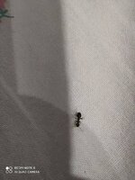 IMG_20210313_213430.jpg