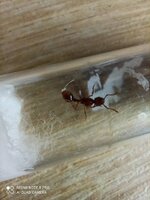 IMG_20210329_170611.jpg