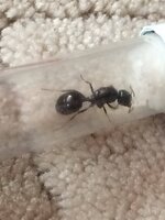 11161D1C-9EE8-456B-ABC0-7874A272CF6F.jpeg