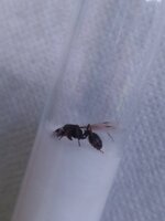 IMG_20210423_201234.jpg