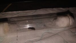 IMG_20210427_174641.jpg