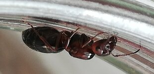 IMG_20210501_181149.jpg