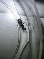 IMG_20210511_235207.jpg