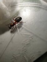 IMG_20210512_093937.jpg