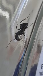 6b3ad926-3e8f-4065-ac06-9d87e5a19e36.jpg