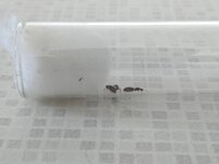 IMG_20210519_125459.jpg