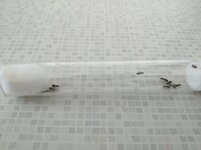 IMG_20210519_125438.jpg
