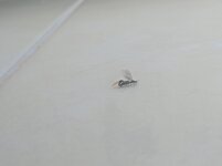 IMG_20210519_092827.jpg