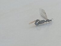 IMG_20210519_092847.jpg