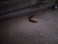 20210520_010407.jpg