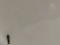 IMG_20210521_144412.jpg