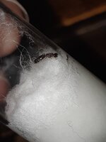 20210529_213630.jpg