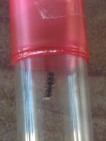 P_20210530_123031.jpg