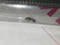 IMG_20210531_155817.jpg