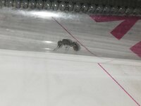 IMG_20210531_155819.jpg