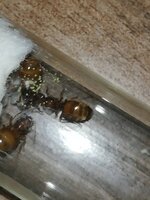 IMG_20210601_200514.jpg