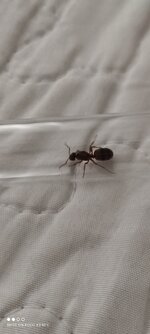 IMG_20210605_145256.jpg