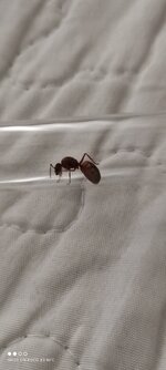 IMG_20210605_145242.jpg