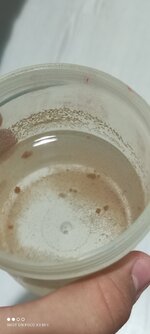 IMG_20210605_213417.jpg