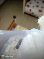 IMG_20210605_213539.jpg