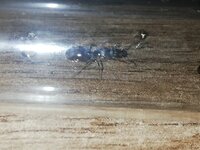 IMG_20210607_103040.jpg