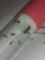 P_20210607_191704.jpg