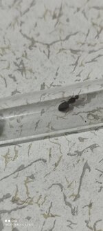IMG_20210607_233048.jpg
