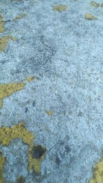 IMG_20210608_121049.jpg