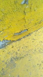 IMG_20210608_121030.jpg