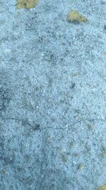 IMG_20210608_120828.jpg