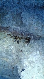 IMG_20210608_200953.jpg