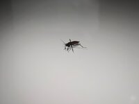 IMG_20210614_003804.jpg