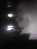 IMG_20210616_160253.jpg