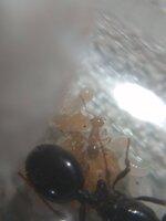 P_20210617_171147_vHDR_Auto.jpg